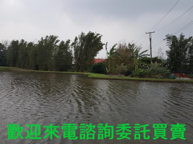 新北淡水農地-0