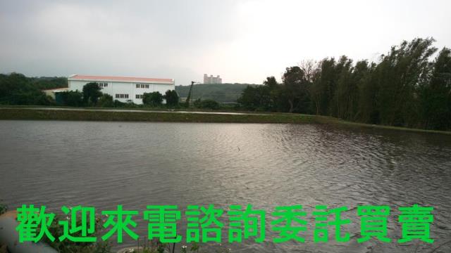 新北淡水農地-2