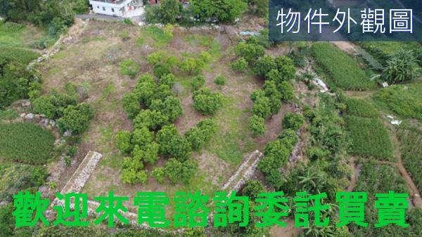 新北三芝農地-0