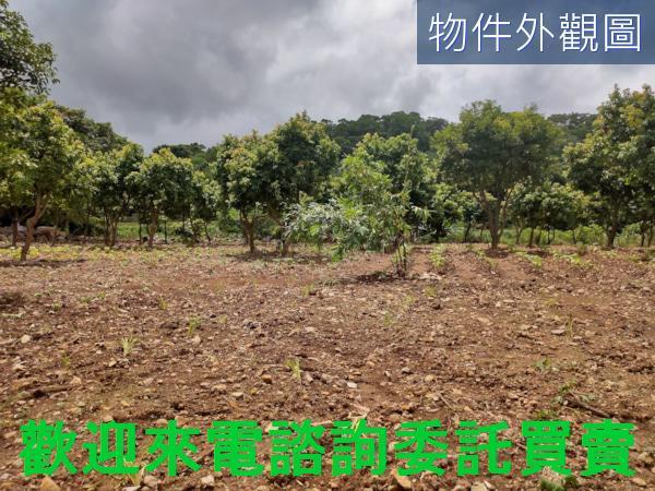新北三芝農地-2