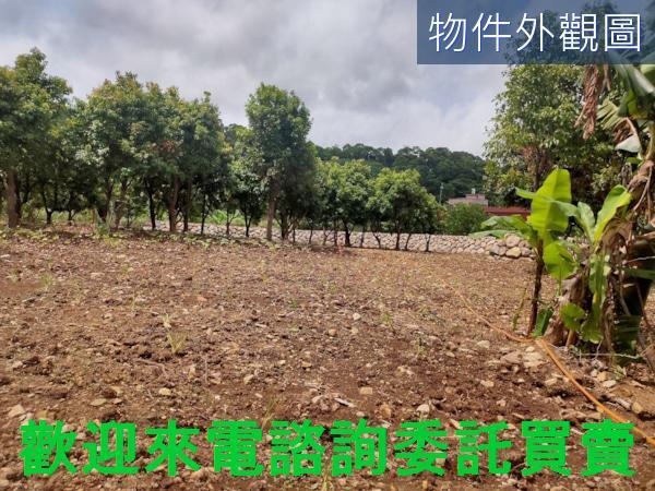 新北三芝農地-4