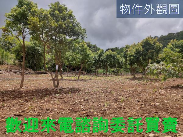 新北三芝農地-5