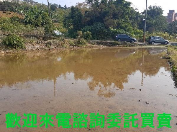 新北農地-1