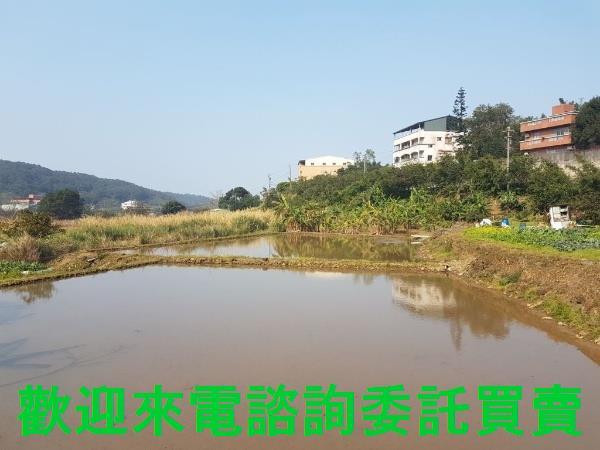 新北農地-2