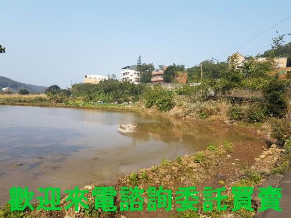 新北農地-3