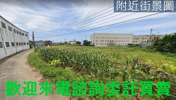 淡水農地-4