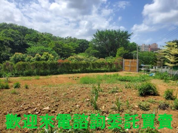 新北三芝農地-11