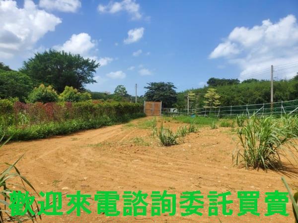 新北三芝農地-3