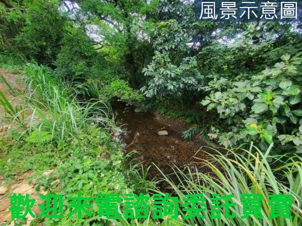 新北三芝農地-8
