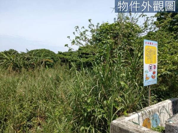 三芝農地-4