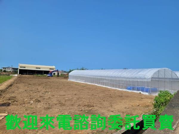 新北農地-1