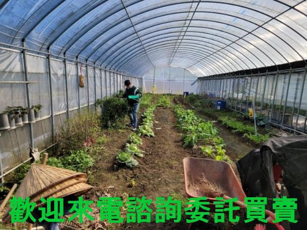 新北農地-3