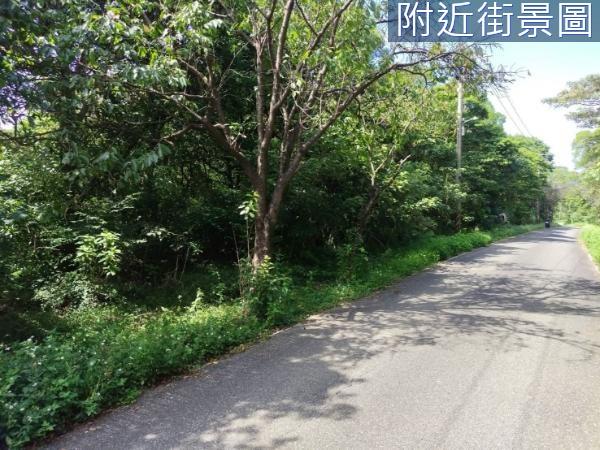 三芝農地-1