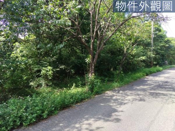 三芝農地-3