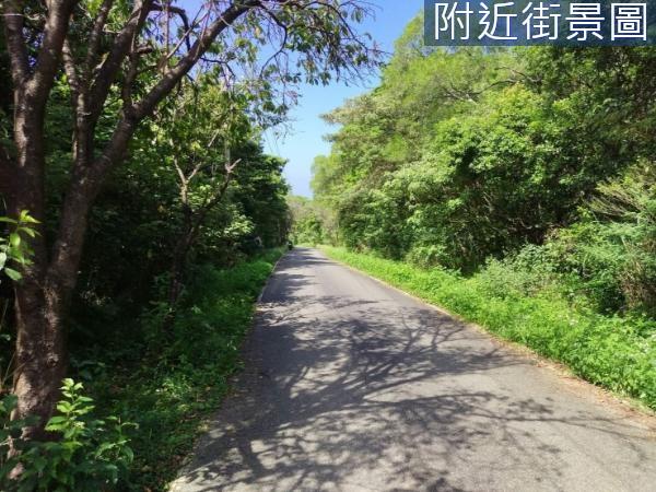 三芝農地-0