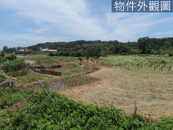 新北都市計畫土地-1