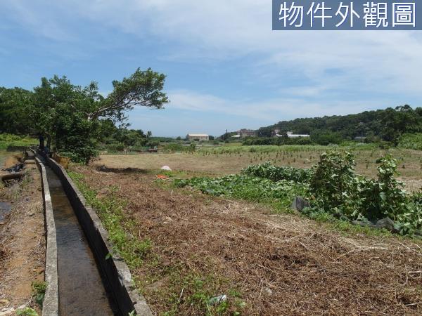 新北都市計畫土地-4