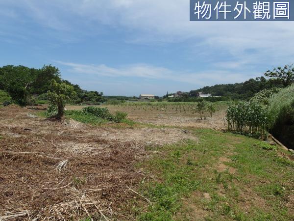 新北都市計畫土地-6