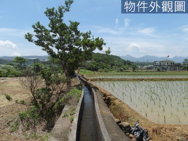 新北都市計畫土地-7