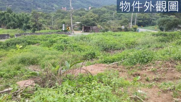 新北農地-1