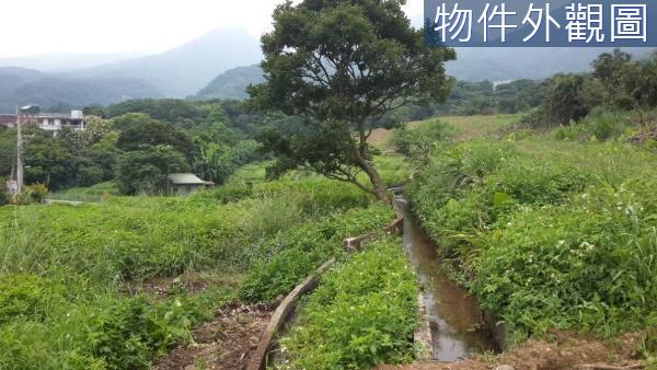 新北農地-4