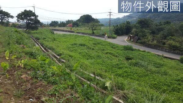 新北農地-5