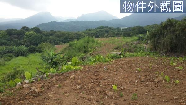 新北農地-6