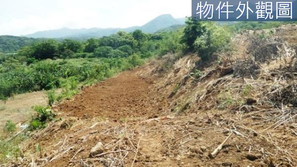 新北農地-8