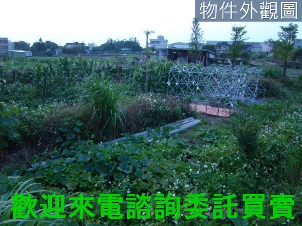 新北農地-2