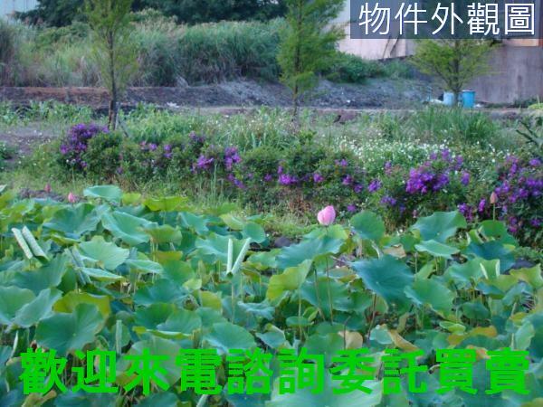 新北農地-0