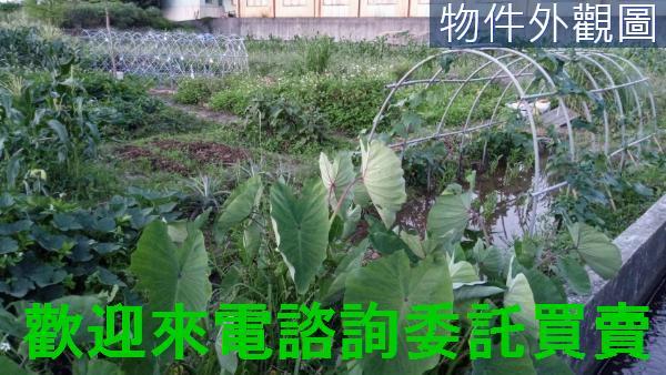 新北農地-4