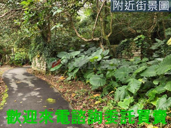 淡水建地-1