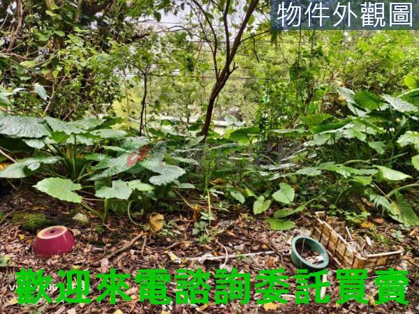 淡水建地-3