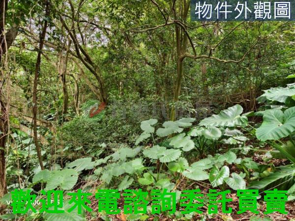 淡水建地-6