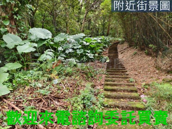 淡水建地-7