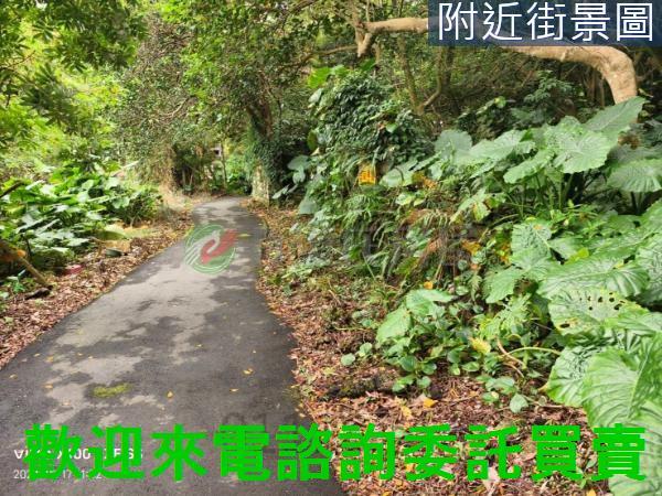 淡水建地-8