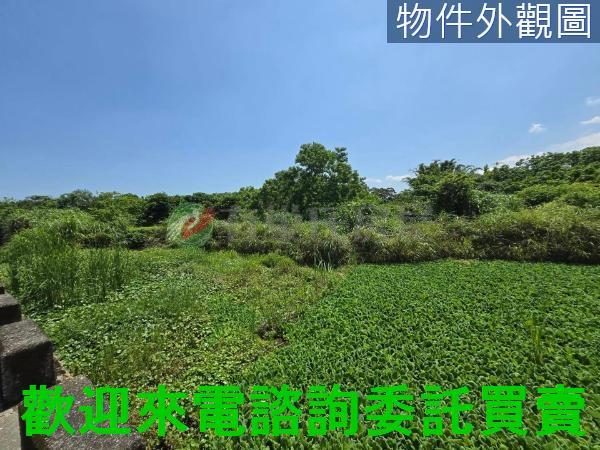 三芝都市計畫土地-1