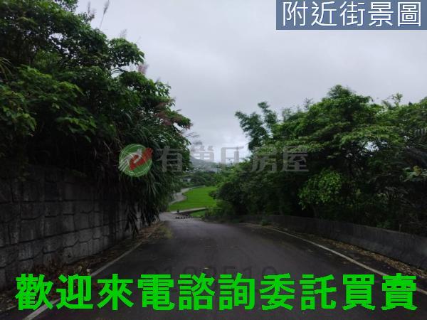 金山農地-2