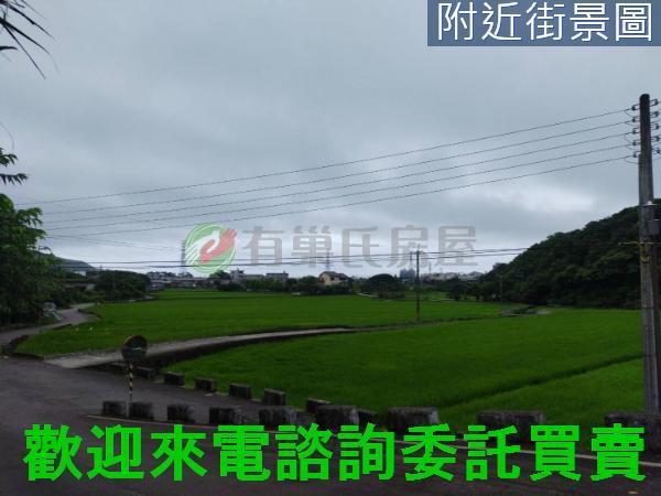 金山農地-0