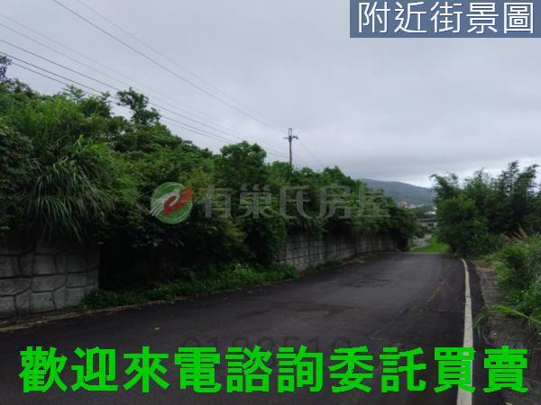 金山農地-4