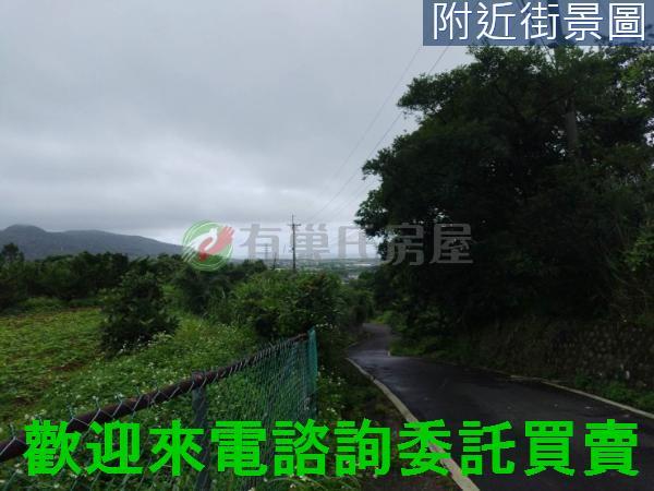 金山農地-6