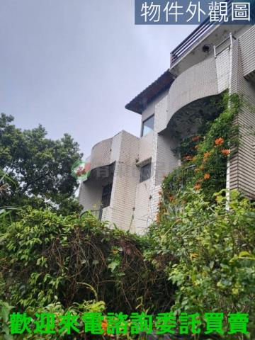 淡水其他-7