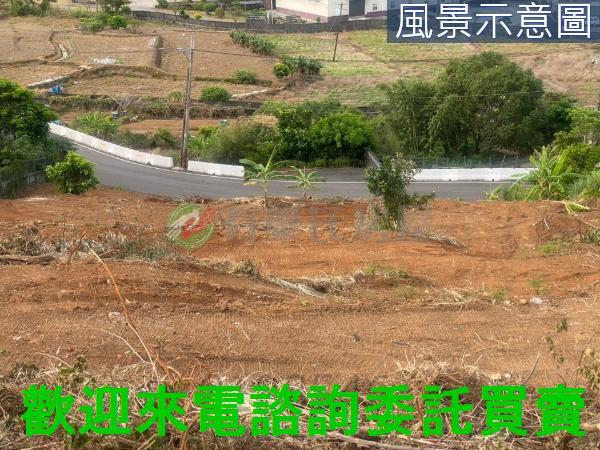 新北淡水農地-12