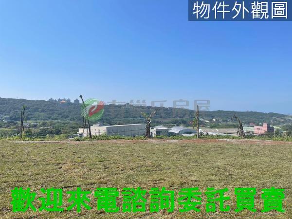 新北淡水農地-5