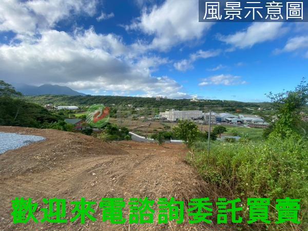 新北淡水農地-6