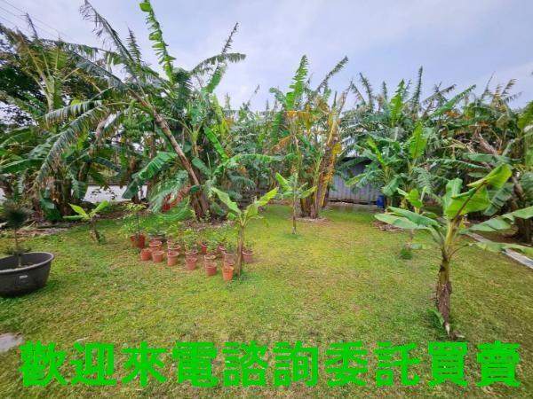 三芝都市計畫土地-3