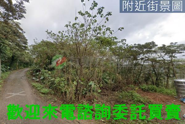 新北農地-1