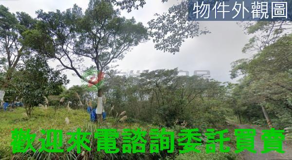 新北農地-4
