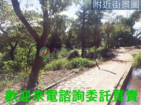 台北北投農地-14