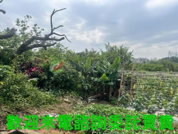 新北淡水都市計畫土地-2